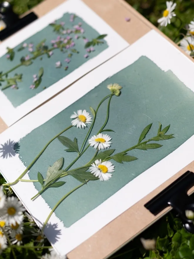 A5 Sunlight Cyanotype Kit To Create Prints At Home 
