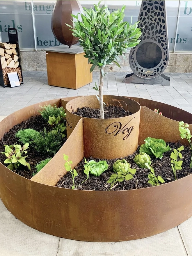 Circle Of Life Corten Vegetable Planter, in room with plants growing in soil. 