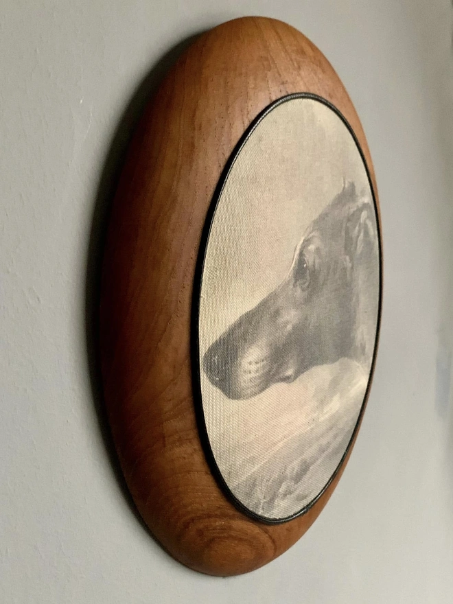 greyhound whippet lurcher print with reclaimed teak frame