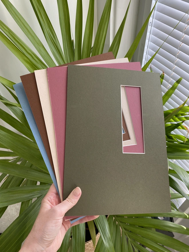 LNN's collection of photo booth / photo strip card mounts in a variety of colours