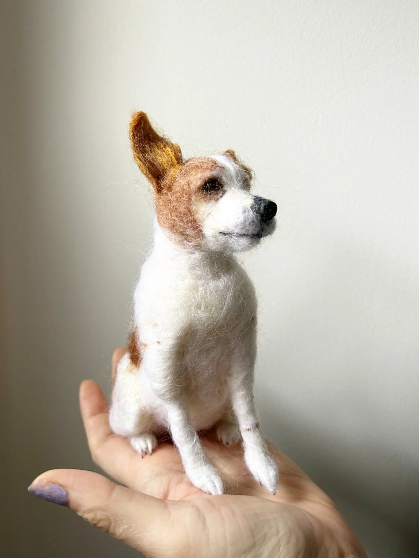 merino wool jack russell pet portrait