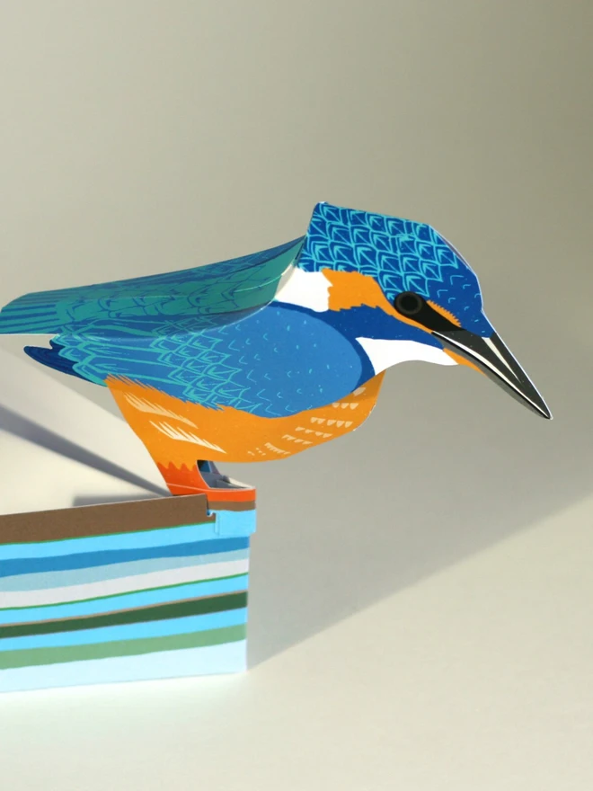 3d kingfisher pop out card