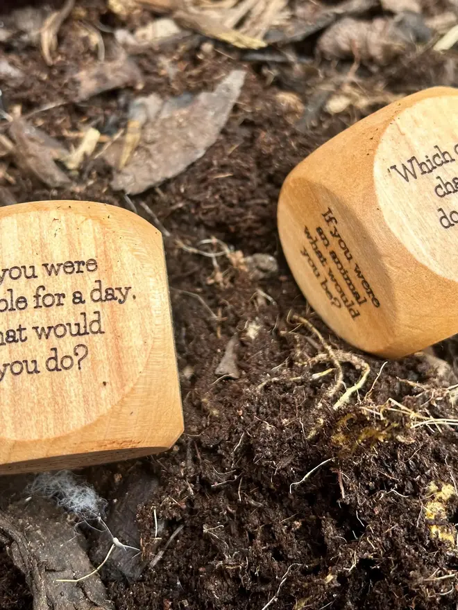 Dice showing 2 questions on a forest floor