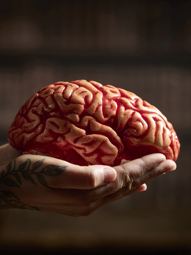 Realistic edible chocolate human brain held in woman's hands