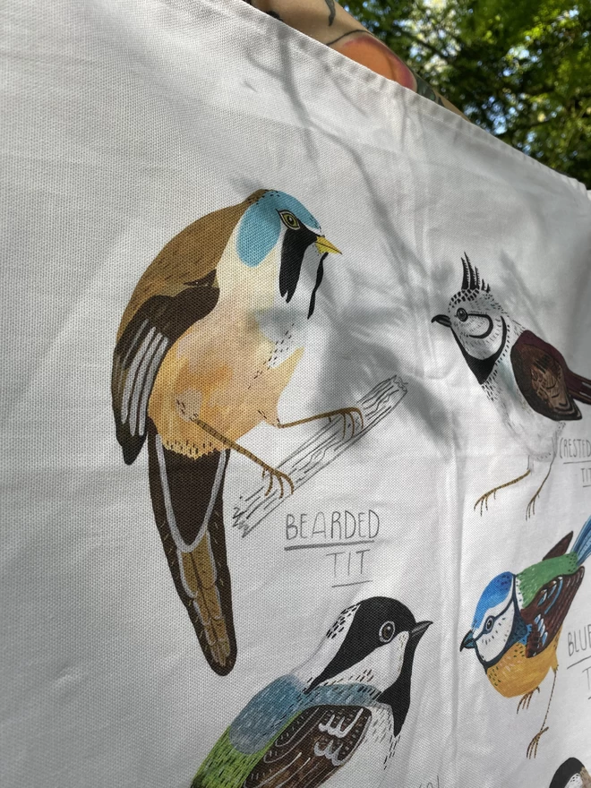 Detail of Illustrated Tea towel with seven varieties of Tit birds on a cotton tea towel  with text that reads - Collection of Tits