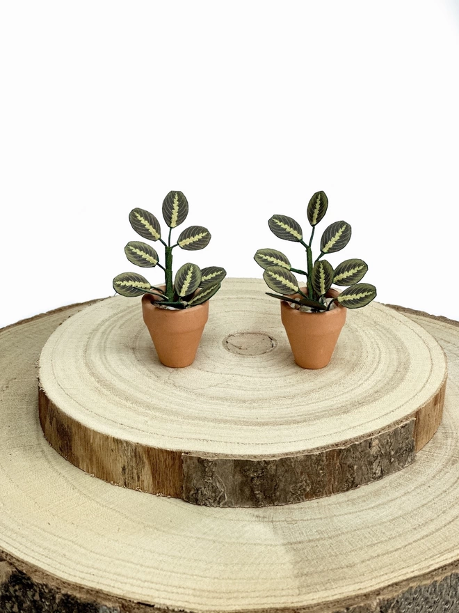 2 miniature replica Maranta Prayer Plant paper plant ornaments in terracotta pots sat on 2 wooden log slices against a white background