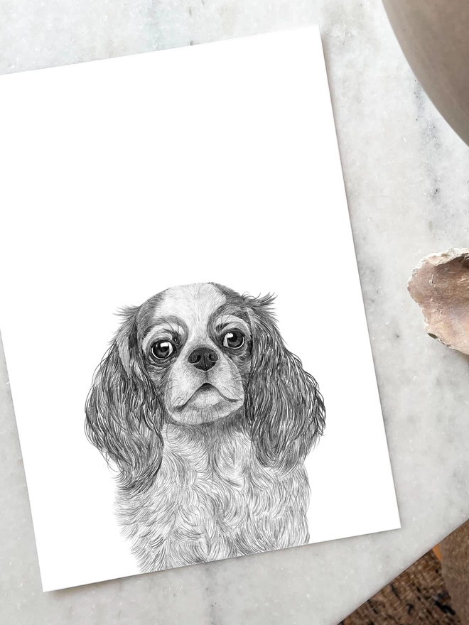 Art print of hand drawn portrait of a cavalier king charles dog laying on a table