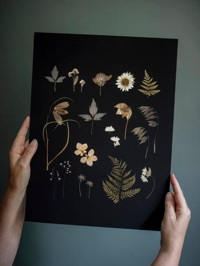 pressed wildflower framed print