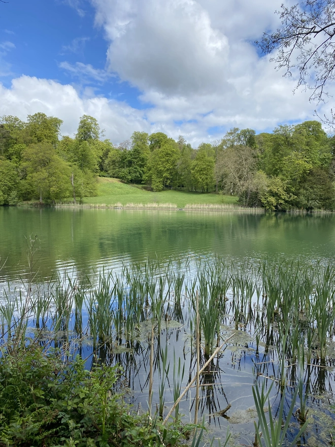 The Wiltshire Way
