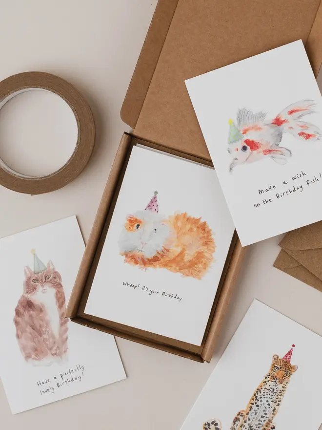 Boxed set of 6 Animal Birthday Cards 