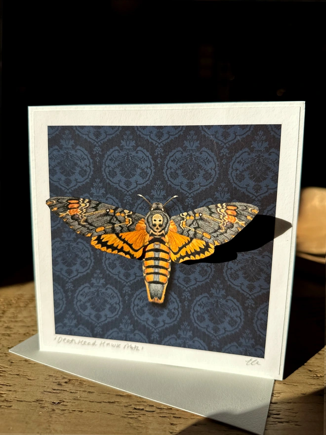 A photo of a square card with an ornate black background and a three dimensional Death's Head Hawk moth in the centre. The colours are black, grey and orange. A perfect card for Halloween or someone who loves entomology.