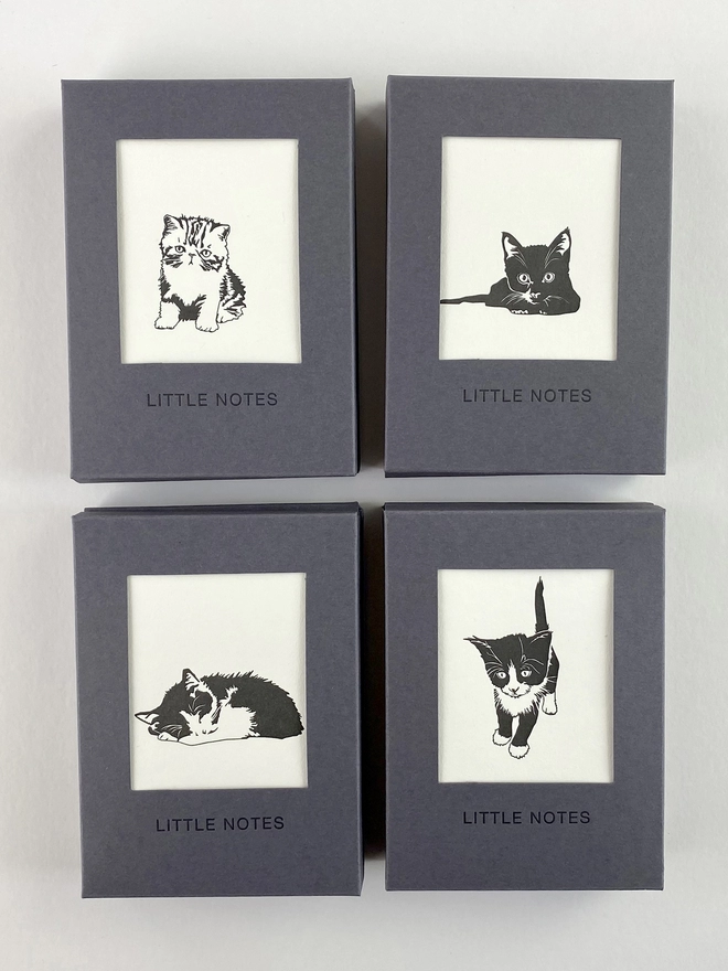 Four pussycat boxes showing four out of the eight designs with all elements are 100% recycled and recyclable 