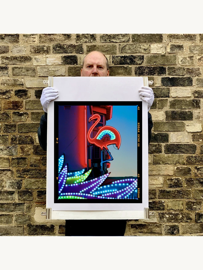 Neon Flamingo Richard Heeps colour print 