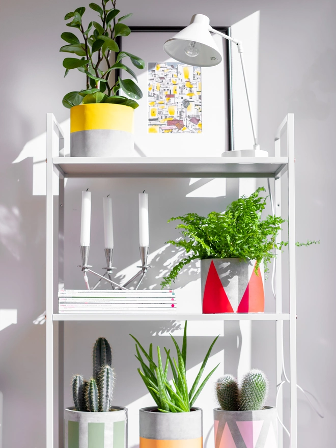 White metal shelves with hand-painted Pow Pots plant pots and decorative items.