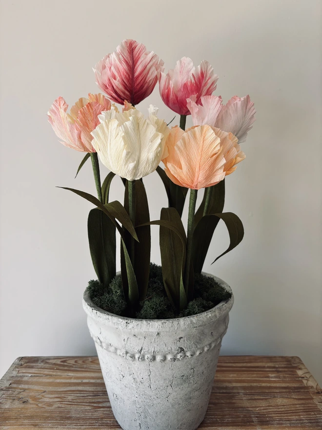 set of 6 paper tulips in various colours