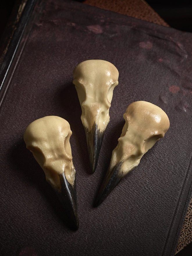 Realistic edible white chocolate crow skulls on antique book