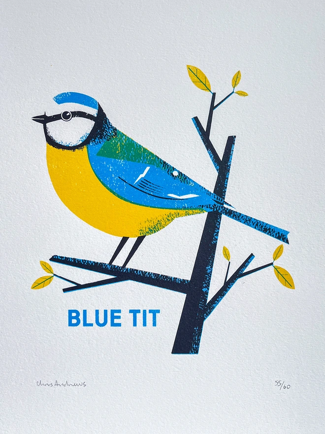 Close up image of a screenprint of a Blue Tit Bird on white paper against a navy blue background. This is signed at the bottom.