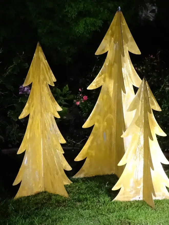Eternal Fir Trees Decoration, standing in a garden as a group. 