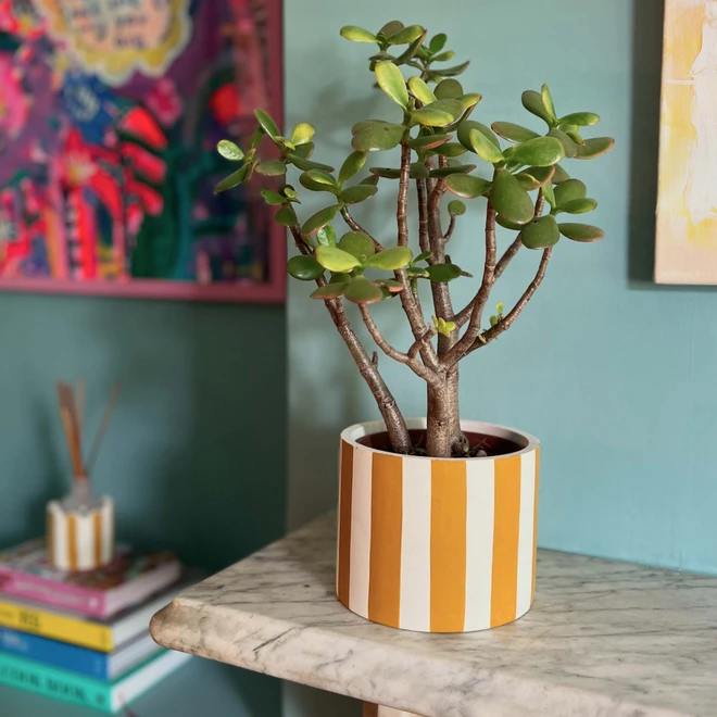 Yellow and white striped jesmonite pot with green plant. Set on a fireplace with a blue wall colour background.