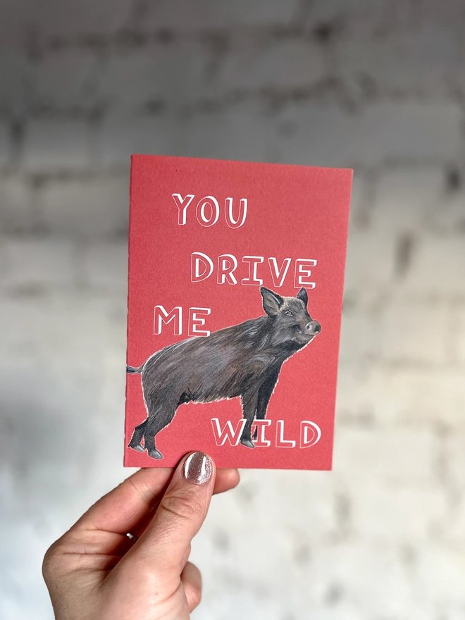 a red greetings card featuring an illustration of a wild boar with the text “you drive me wild”