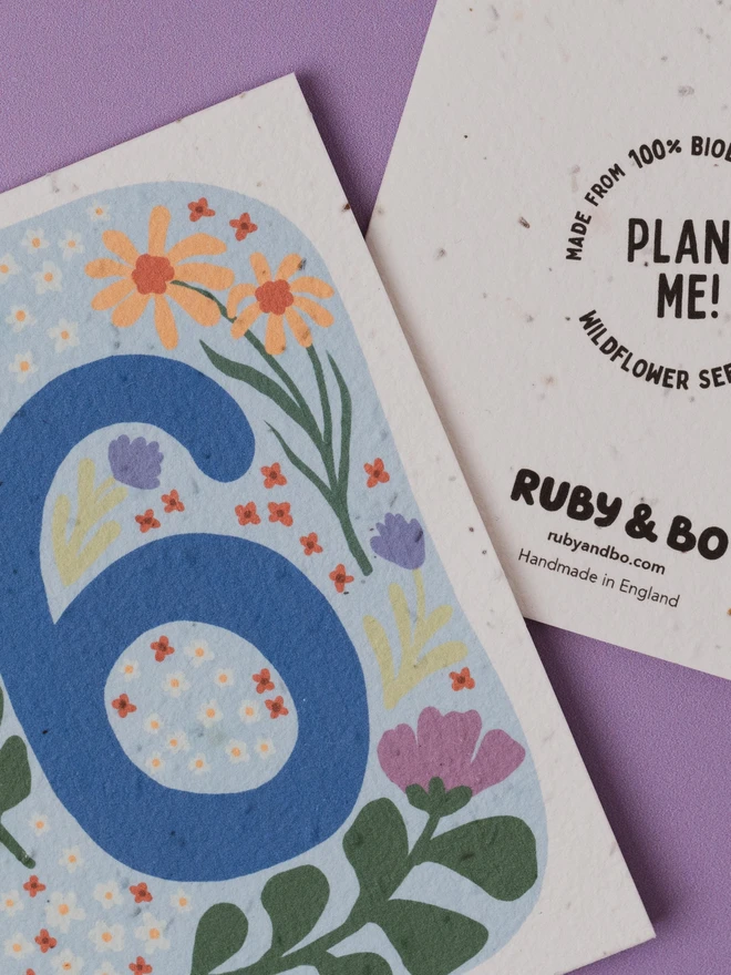 Plantable 6th Birthday Card