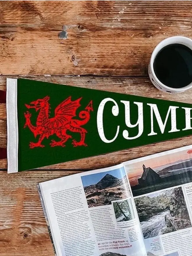 'Cymru' Felt Pennant Flag