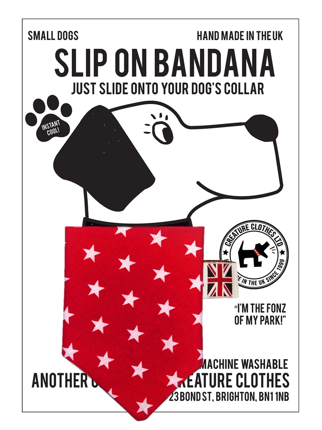 Starry Slip on Dog Bandana
