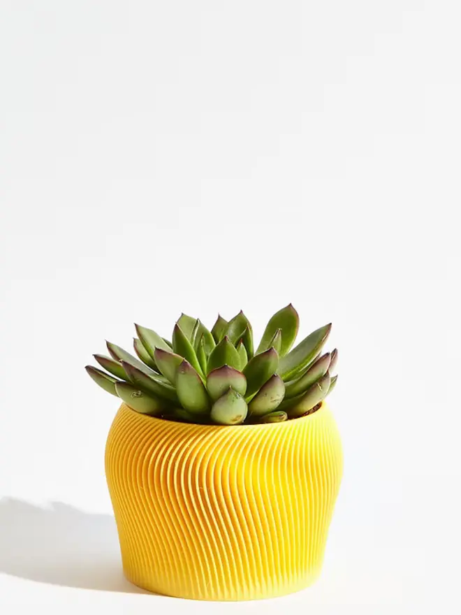 Sustainable 3D Printed Banana Yellow Plant Pot, orbital design against a white background.