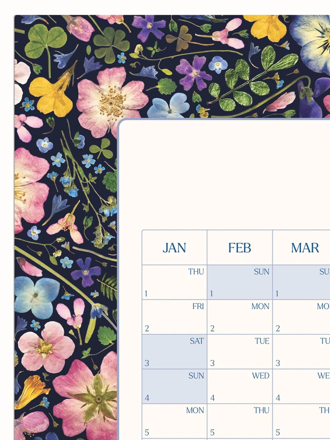 Close-up of a pressed flower annual wall planner. A 2026 calendar with a pretty floral design. Perfect for the home office or studio. Makes a great home office gift or Christmas present for nature lovers.