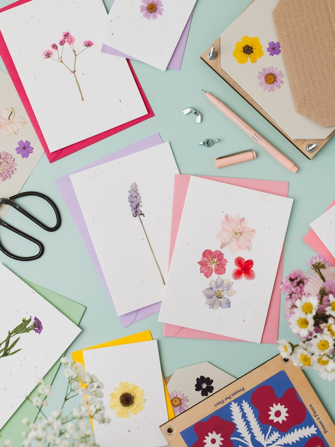 Real Pressed Flower Plantable Card, various 