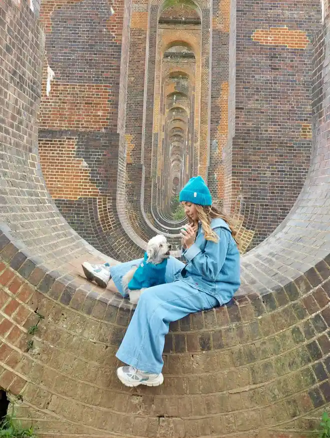 blue dog jumper and matching hat 