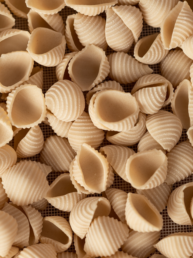 dry shell conchiglie pasta lifestyle shot