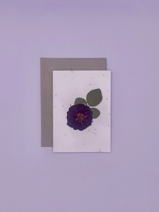 Real Pressed Flower Plantable Notecard, Purple Rose