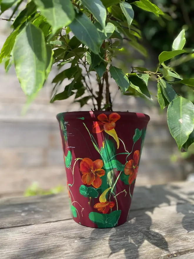 beautifully hand-painted interior terracotta plant pot, featuring a serene burgundy background adorned with orange Nasturtium flowers
