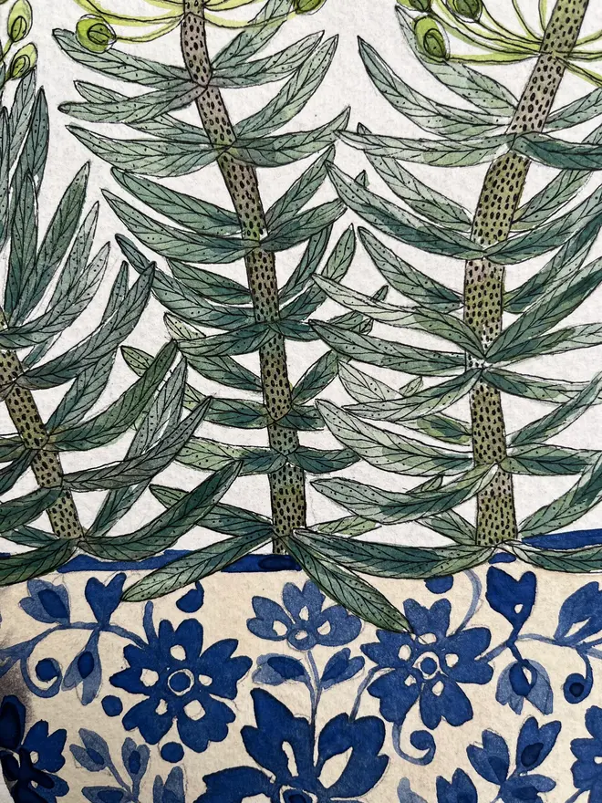 Euphorbia plant in a delft ceramic pot