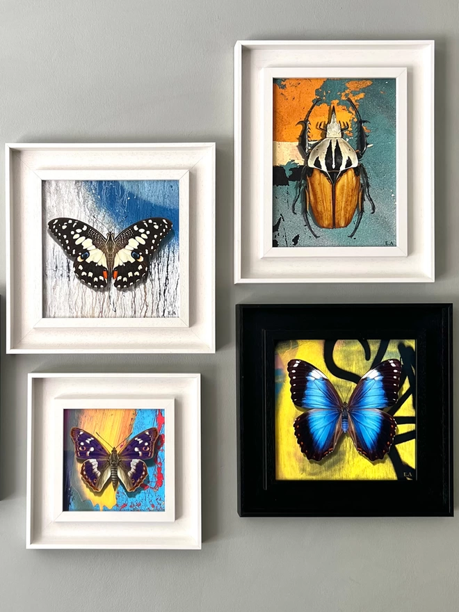 Butterfly and graffiti abstracts, gallery wall selection