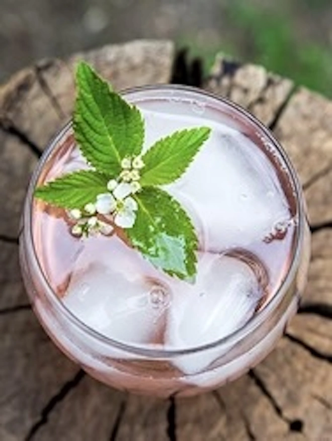 Elderflower & Rhubarb Cordial (Set Of 1, 2, 3 Or 4), a glass or cordial sitting on a wooden surface next to the elderflower plant. 
