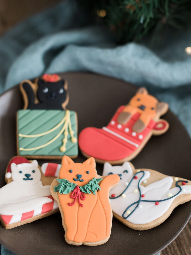 Christmas cat biscuit gift 