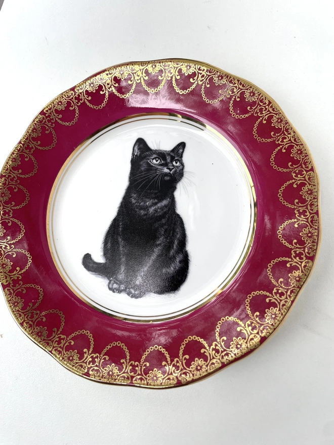 a vintage plate with a dark red border with intricate gold patterning, in the centre of the plate is a vintage style black and white illustration of a black witch's cat