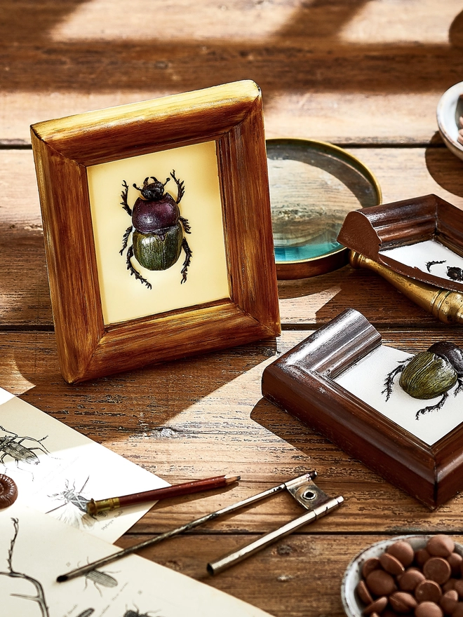 Realistic edible chocolate dung beetle in chocolate frame surrounded by chocolate buttons