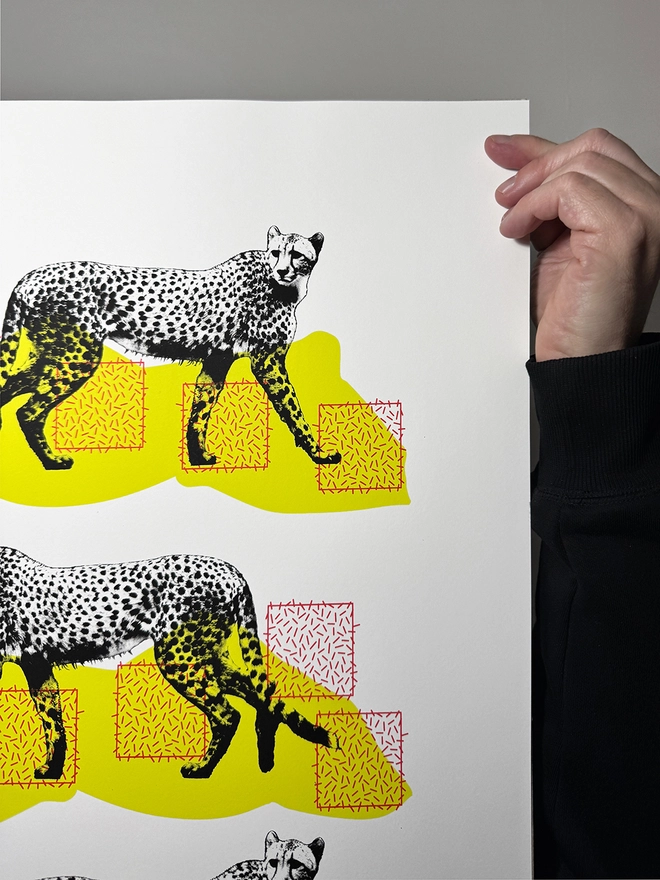 A Coalition of Cheetahs - Screen Printed Poster - close up top right