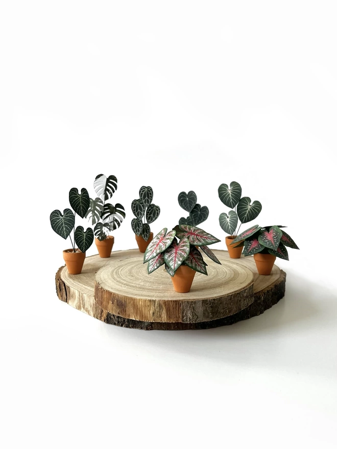 A miniature replica Caladium Rosebud paper plant ornament in a terracotta pot sat on a wooden log slice with other paper plants in the background against a white background