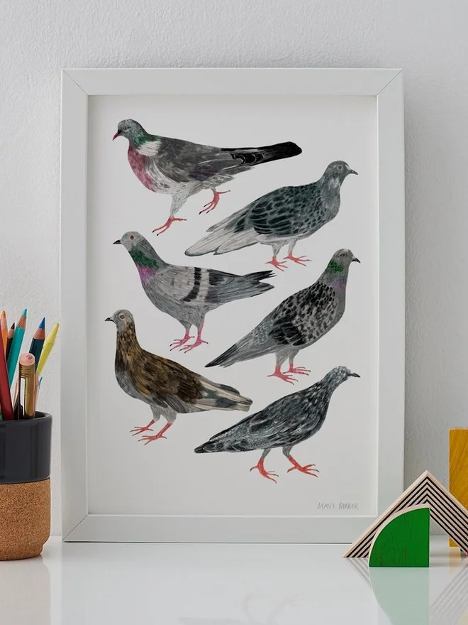 Pigeons Print