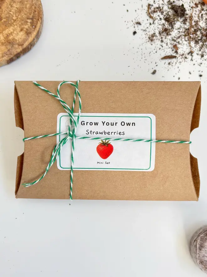 little green grow your own mini strawberries kit. a cardboard box containing seeds and equipment to grow strawberries.