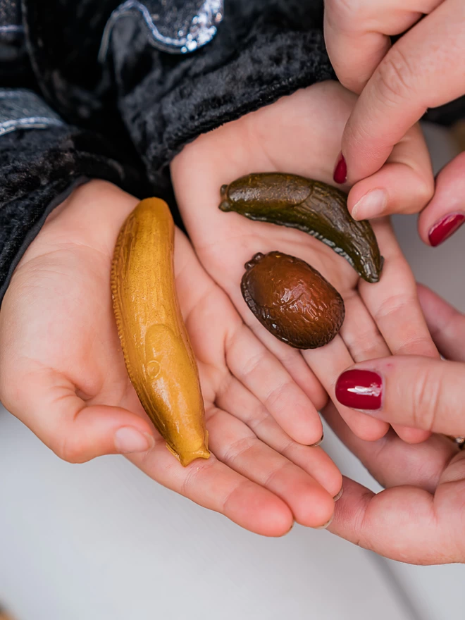 Solid chocolate slugs in various slimy poses held in child's hands