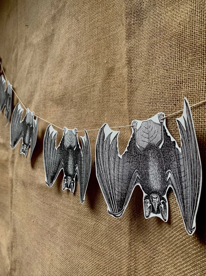 Bat bunting on a hessian backdrop