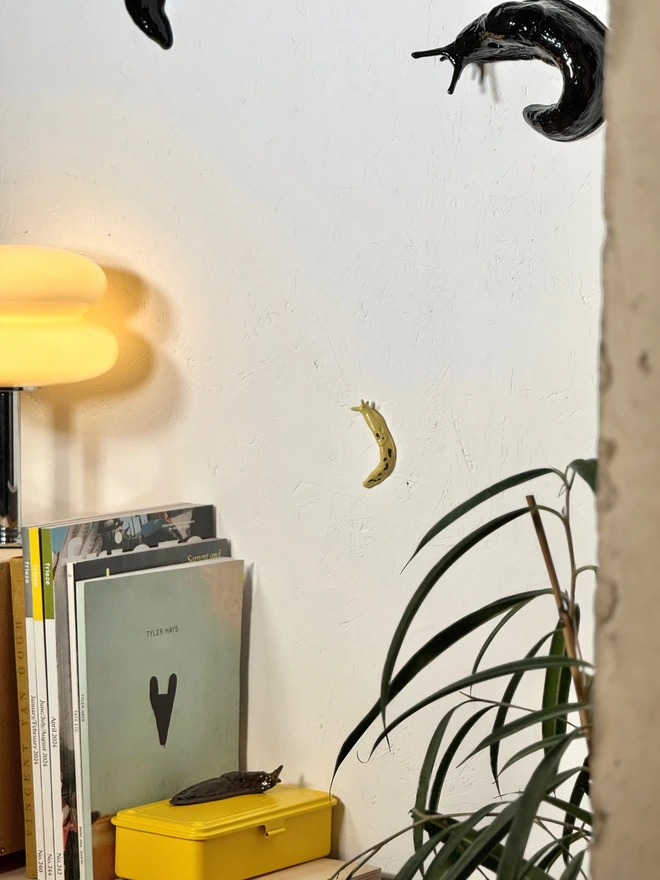 Banana Slug IIII