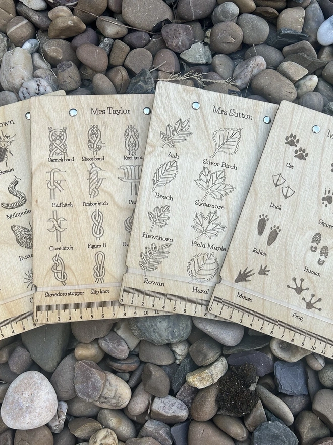 Showing the 4 available boards to choose from. Knots, Insects, Leaves and tracks
