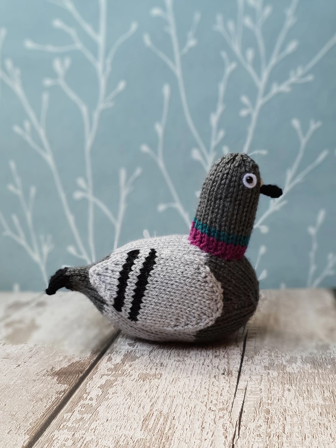 bill the pigeon knitting kit for beginners
