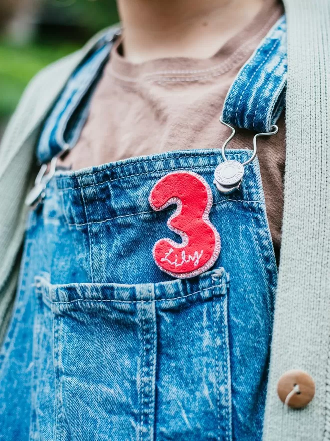 Hetty and Dave red leatherette number 3 brooch